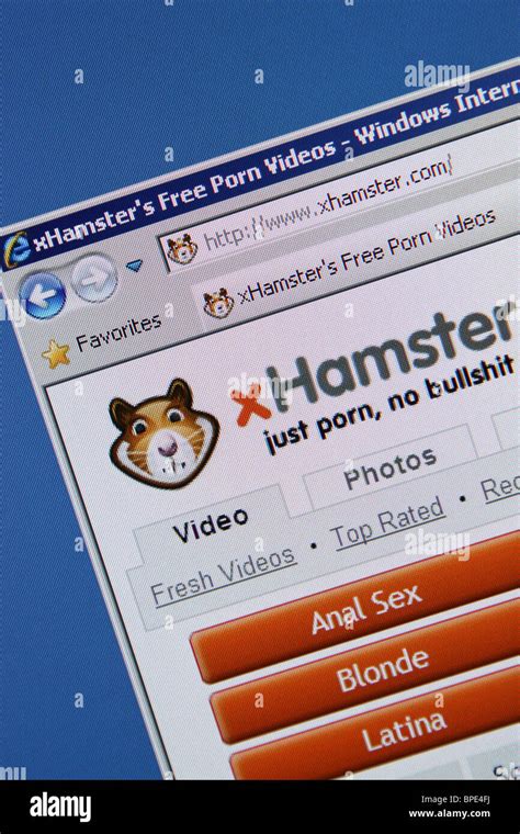 porno xamster|Porno Porn Videos